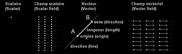 scalaire, champ scalaire, vecteur et champ vectoriel