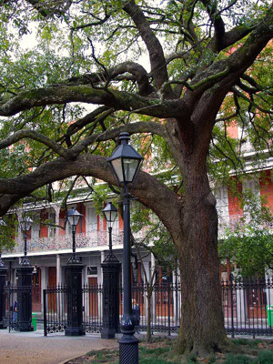 Jackson Square -Nouvelle-Orléans : source commons wikimedia - image public domain