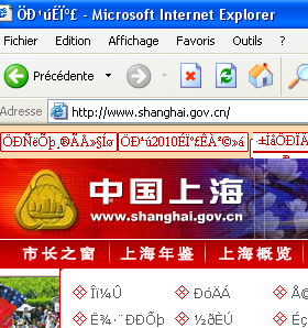 www.shanghai.gov.cn